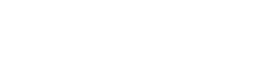 Brussels Airline