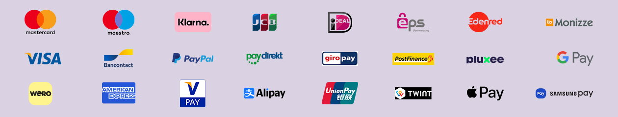 Logos of accepted payment methods with Payworld, like Mastercard, Visa, PayPal, Bancontact, Klarna, Google Pay, Apple Pay, and more.