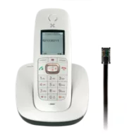 Domestic phone analogic phone small